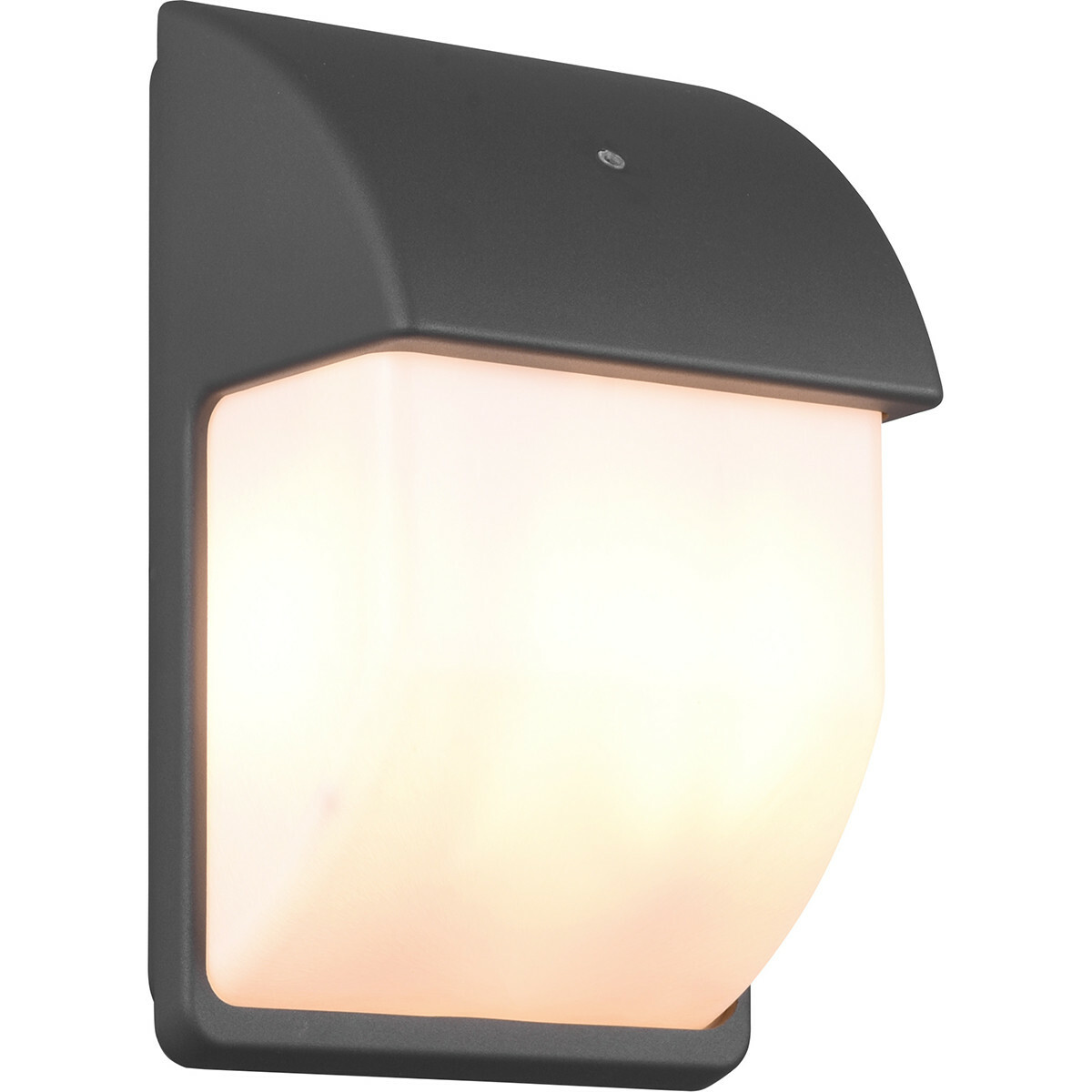 comfort dialect silhouet LED Tuinverlichting met Dag en Nacht Sensor - Buitenlamp - Trion Menaki -  E14 Fitting - Spatwaterdicht IP44 - Ovaal - Mat Antraciet - Aluminium | BES  LED