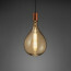 LED Lamp - Design - Trion Tropy DR - Dimbaar - E27 Fitting - Amber - 8W - Warm Wit 2700K 3