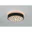 LED Plafondlamp - Plafondverlichting - Trion Carol - 11W - Warm Wit 3000K - Rond - Mat Zwart - Kunststof  5