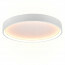 LED Plafondlamp - Plafondverlichting - Trion Dile - 29W - Aanpasbare Lichtkleur - Rond - Mat Wit - Metaal 3