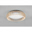 LED Plafondlamp - Plafondverlichting - Trion Manto XL - 38W - Aanpasbare Kleur - Dimbaar - Rond - Houtkleur - Kunststof 11