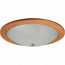 LED Plafondlamp - Plafondverlichting - Trion Palan - E27 Fitting - 2-lichts - Rond - Mat Bruin - Hout 3