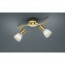 LED Plafondspot - Trion Levino - E14 Fitting - Warm Wit 3000K - 2-lichts - Rechthoek - Mat Goud - Aluminium 2