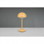LED Tafellamp met Opbaadbare Batterijen - Trion Berna - 2W - Warm Wit 3000K - Spatwaterdicht IP44 - Rond - Mat Oranje - Kunststof 7