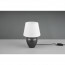 LED Tafellamp - Tafelverlichting - Trion Albino - E14 Fitting - Rond - Antiek Nikkel - Wit - Keramiek - Ø180mm 4