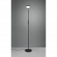 LED Vloerlamp - Trion Monzino - 12W - Aanpasbare Kleur - Dimbaar - Rond - Mat Zwart - Aluminium 17