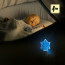 Stekkerlamp Lamp - Stekkerspot met Dag en Nacht Sensor - Aigi Essi - 0.5W - RGB - Rond - Mat Wit - Kunststof - Vuur 5